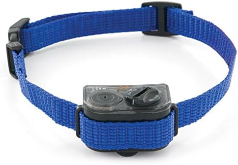 bark control for small dogs