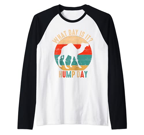 ¿Qué día es Camel Tee Retro Funny Hump Day Camiseta Manga Raglan