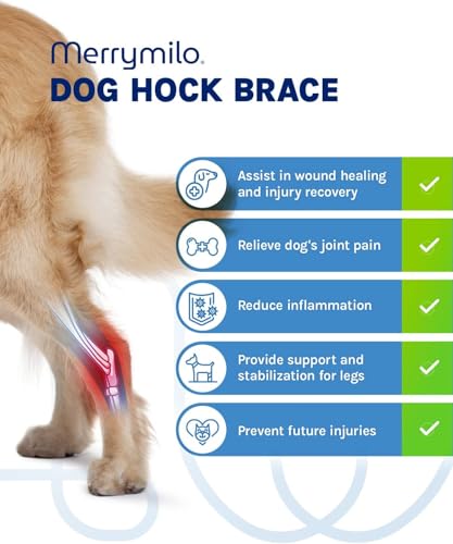 Image of Dog Leg Brace for Rear Hock & Ankle, Canine Hind Leg Joint Compression Wrap for Torn ACL & CCL, Injury and Sprain Protection, Wound Care and Loss of Stability 1 Pair, Size: Small