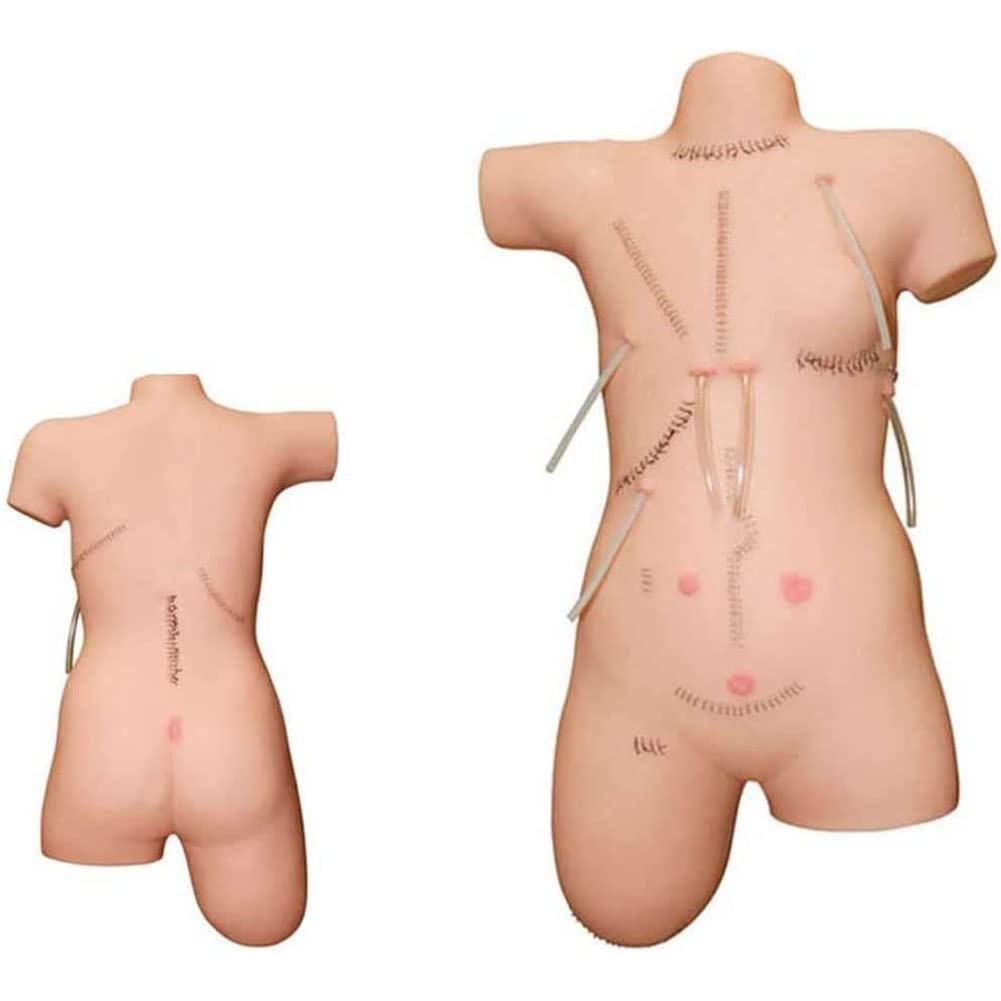 GTHTUHFD Human Model Premium Suture Model Patient Care Manikin, Suture Practice Kit For Training Education & Demonstration Practice, Demonstration Skeleton Model