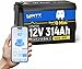 WattCycle 12V 314Ah Mini LiFePO4 Lithium Battery with Bluetooth 5.0, 200A BMS, 4.01kWh Energy, Low-Temp Protection, 10+ Years Lifespan, for RV, Marine, Camping, Solar Off-Grid
