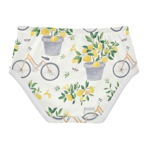 Wusikd Gray Bicycles Girls' Underwear Cotton Lemon Trees Girls Briefs Soft Toddler Underwear 2T2