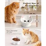 Raised Cat Food Bowl Ceramic 15° Tilted Cat Food Bowls Protect Cat's Spine Anti Vomiting Backflow Prevention Bowls for Adult Kitty, Kitten, and Small Dogs, Pink - Image 5