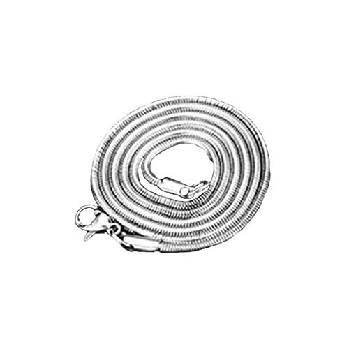 Chaîne de serpents de 18 à 26 pouces collier acier argenté garçon