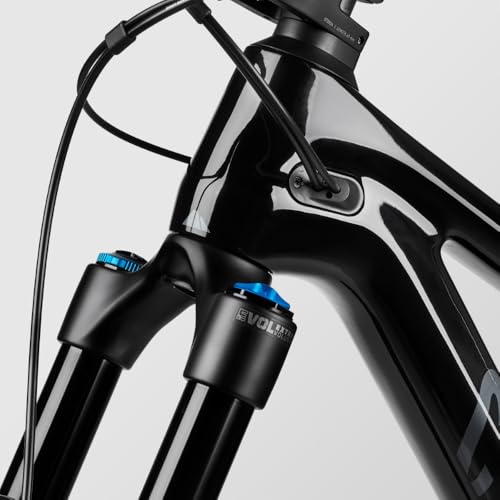 Canyon Spectral 29 CF 8