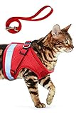 【LANGLEBIG & ULTRA KOMFORTABEL & EINFACH ZU REINIGEN】--- Maschinenwäsche kalt und trocknergeeignet, Material weiches Nylon, pflegeleicht, mit atmungsaktivem und verstellbarem Netz bezogen, Ihre Freunde ersticken und überhitzen sie nicht, wenn sie laufen. Diese neue Art von Mesh des leichten Gurtzeugs macht sich atmungsaktiver und komfortabler und schädigt weder Hunde noch Katzenhaare.