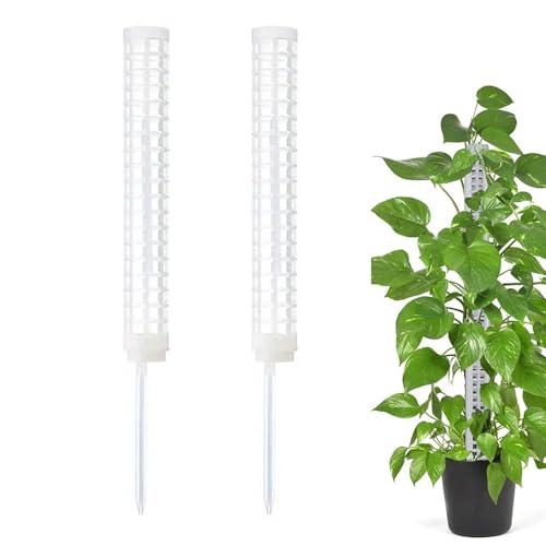 x ϗtA Xex ϗt tFX A̐T|[g U A ێ |pc[y2 zCgz