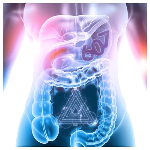 607: Scan My Secret Big Boy cover art