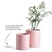POTEY Ceramic Planter Flower Plant Pot - 4.9”+6.1” with Drain Hole Full Depth Cylinder - Minimalism for Indoor planters - Set of 2, Light Pink
