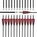 RUOERSI 31 inch Carbon Arrows Archery 500 Spine Targeting Practice Arrows Removable Arrow with Feather Fletching Screw Field Points Replaceable Tips for Recurve Bow Compound Bow Long Bow (6 Pack)