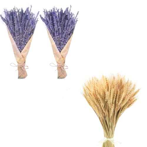 Ramo Seco de Lavanda y Trigo para Decoración miniatura 1