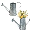 Mygift 7 inch small rustic galvanized metal decorative vases in vintage style watering can design for dried flowers and artificial plants set of 2 handcrafted in india  urban country home decor