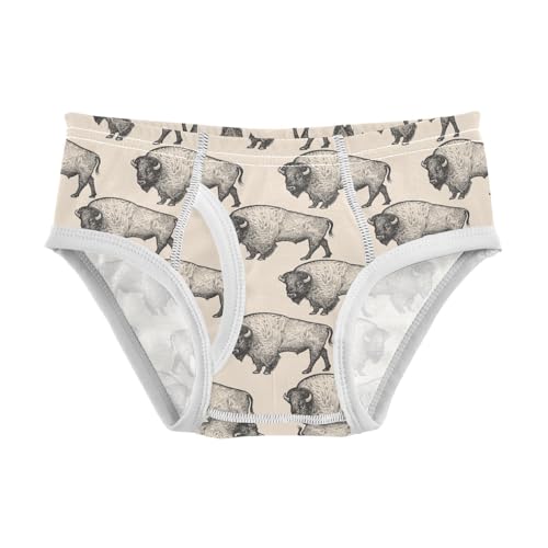 Boys' Underwear Cotton Little Boys Bison Cow Briefs Soft Toddler Underwear 2T-8Y