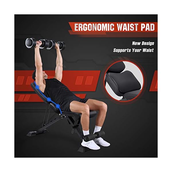 FLYBIRD Workout Bench, Adjustable Weight Bench Folding Weight Bench