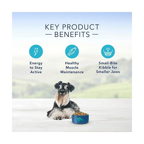 Blue Buffalo Life Protection Formula Small Breed Senior Dog Food – Natural Dry Dog Food for Senior Dogs – Chicken and Brown Rice – 15 lb. Bag Blue Buffalo Life Protection Formula Small Breed Senior Dog Food – Natural Dry Dog Food for Senior Dogs – Chicken and Brown Rice – 15 lb. Bag