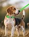 Joytale Halsband Hund, Weich Hundehalsband Gepolstert Neopren Hunde Halsband für Mittelgroße Hunde, Nylon Reflektierend Breit Halsbänder, Grün