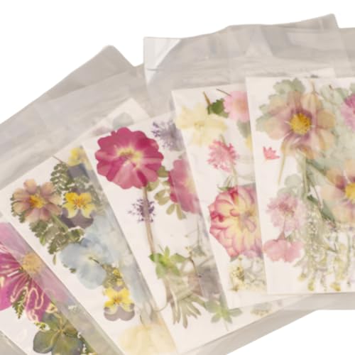 Flores Prensadas Em Estilos Variados, 100 Peças, Versátil, Vibrante, Multiuso, Kit de Flores Secas p