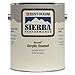 Rust-Oleum Beyond Acrylic Tint Base Gloss 1 Gallon