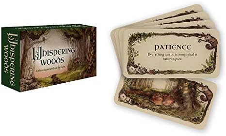 Anya Nana Mini Set 40 Inspiring Cards Guide You Whispering Woods Inspiration Cards New in Box