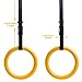 Reehut Gymnastic Rings W/Adjustable Straps, Metal Buckles & Manual - Home Gym (Set of 2) - Non-Slip - Great For Workout, Strength Training, Fitness, Pull Ups and Dips, Ebook included