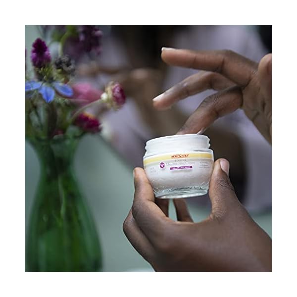 Burt's Bees Stocking Stuffers, Renewal Fragrance-Free Firming Moisturizing Face Cream With Natural Retinol Alternative, Firming Face Cream With Bakuchiol, Natural Origin Skin Care, 1.8 oz. Tub