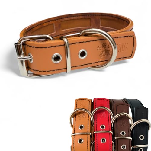 Collares Perros Cuero Marca ZADE