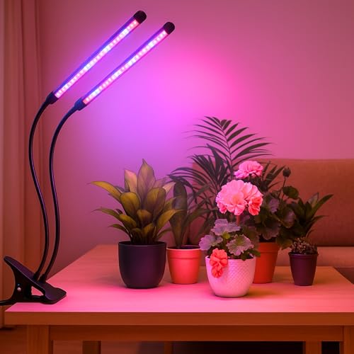 Image of ecofynd Bluma 2 Years Warranty Grow Light for Indoor Plants (Herbs, Leafy Plants & Flowering), Auto On /Off Automatic Timer, 2 Head 10 Watt LED Artificial Sunlight, 1.3M Wire Type C Connector (003)