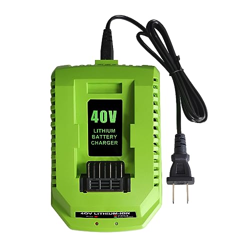 Chargeur batterie 40V 2A pour Greenworks Lithium Ion 29482 29462