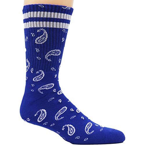 Paisley Bandana Pattern