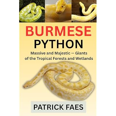 BURMESE PYTHON