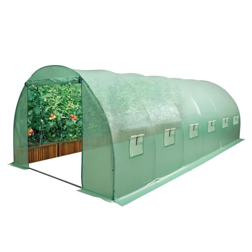 Birchtree 6m x 3m Polytunnel