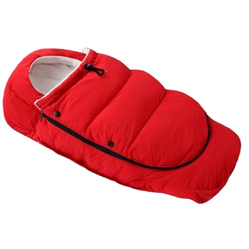 xr[J[t [tbg}t V ےg h h ~ K  􂦂  oWbp[ ӂӂ 蕨 opioYj tH~p (bhiPwj,46*88cm) [sAi]