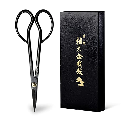 Wazakura Satsuki Bonsai Scissors