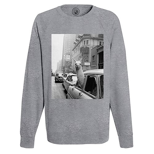 Sweat Shirt Homme Lama Time Square Swag New York vêtement mode vintage années 30