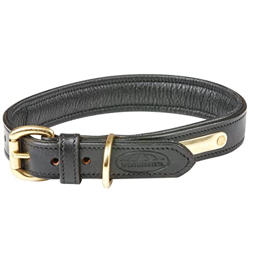 Weatherbeeta - Collare in pelle imbottito per cani (XXL) (Nero)