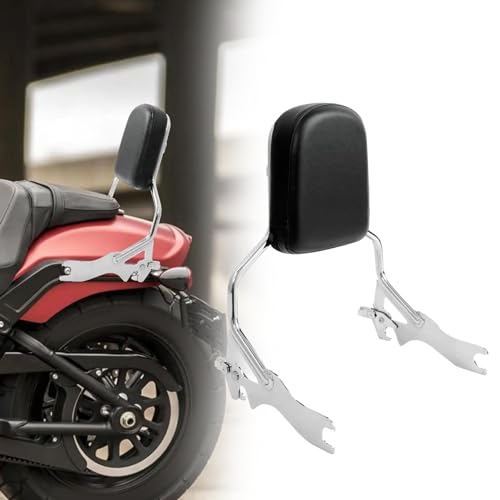Barre Sissy avec coussinet pour moto Harley Fat Bob 2018-2023 FXFBS