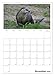 The Otter Appointment Planner (Wall Calendar 2026 DIN A3 High), CALVENDO Monthly Calendar: Fishing Otter - Floating Marten