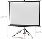 Celexon Stativleinwand Economy 211 x 160 cm - 4