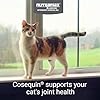 Nutramax Cosequin for Cats Joint Health Supplement, Contains Glucosamine for Cats, Plus Chondroitin and Omega-3s, Supports Joint and Skin and Coat Health, Soft Chews, 60 Count #1