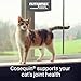Nutramax Cosequin for Cats Joint Health Supplement, Contains Glucosamine for Cats, Plus Chondroitin and Omega-3s, Supports Joint and Skin and Coat Health, Soft Chews, 60 Count