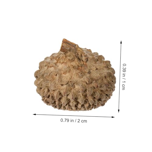 Set de 50 piezas de decoraciones de cáscara de bellota natural miniatura 2