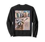Photo Gallery funny raccoon selfie shirt - raccoon tshirt - divertente procione felpa Photo Gallery funny raccoon selfie shirt - raccoon tshirt - divertente procione felpa