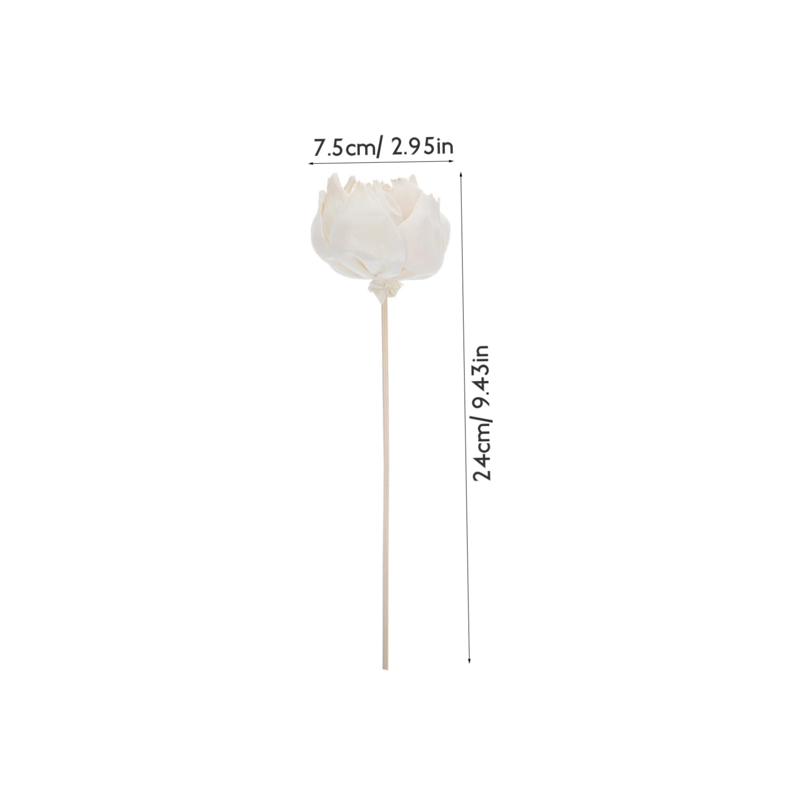12pièces Fleurs Séchées Naturelles pour Diffuseur Huiles Essentielles Accessoires Aromathérapie avec De Couleur Naturelle