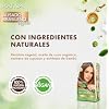 Descubre la mejor manicura y pedicura de LugoPulsa aqui 👈🏼 y pide cita KATIVA-Kit-Alisado-Brasileno-Vegano-Tratamiento-Alisado-Profesional-En-Casa-Hasta-12-Semanas-De-Duracion-Alisado-Keratina-Vegetal-Sin-Formol-color-Verde