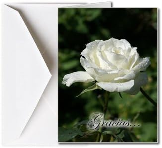 Funeral Memorial Service Thank You Cards with Envelopes (25 Count) FTKC1015 White Rose (Blank - You print your own verse)
