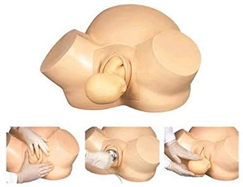 Life Size, Advanced Childbirth Simulator, Childbirth Dystomic Model, Medical Anatomical Model