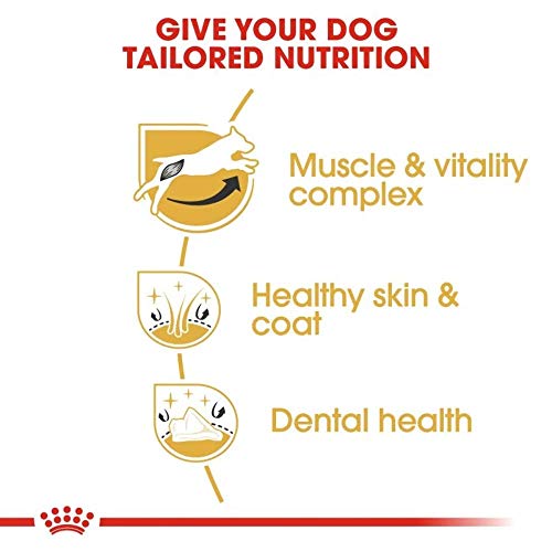 Royal Canin Jack Russel Adult 7,5 kg, 1er Pack (1 x 7.5 kg)