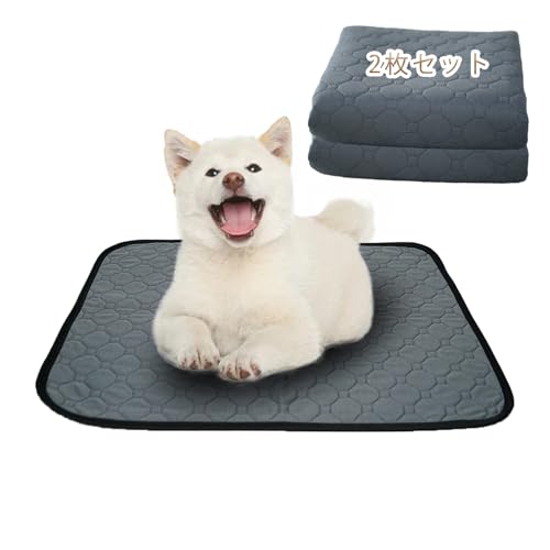 [NyonikoijjRj] 􂦂ybgV[c z }bg  ybg}bg Rh~ ybgppbh ld\ gC~}bg ~ V[g h ݑϐ ^ ^ ^ L p p   lG