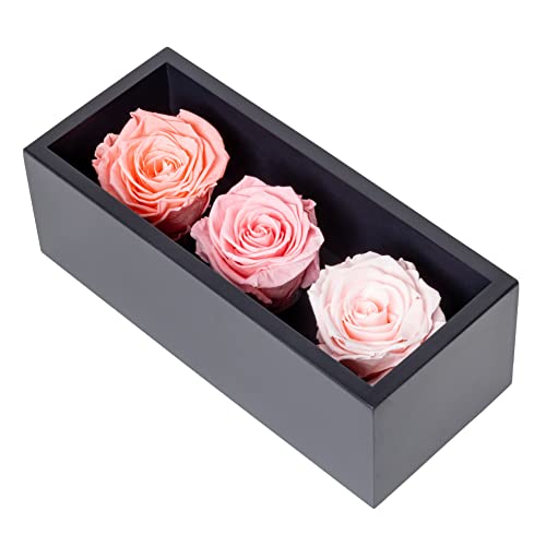 Rosas Preservadas para el Día de la Madre en Caja de Madera, 3 Rosas Rosa de Cumpleaños para Entrega Prime, Flores Eternas, Rosas Naturales para Siempre que Duran Años, Rosa Eterna