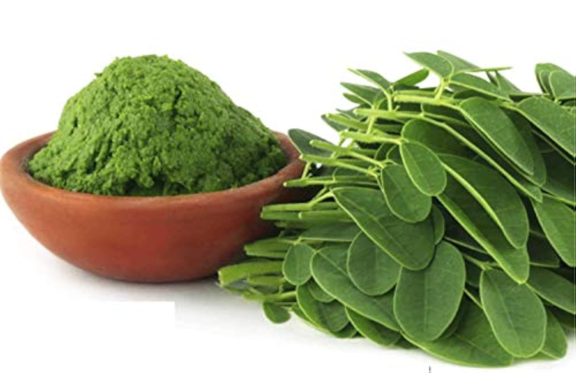 Organic Moringa Powder, Herbal Supplement for Health